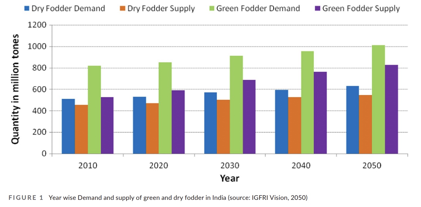 green fodder shortage