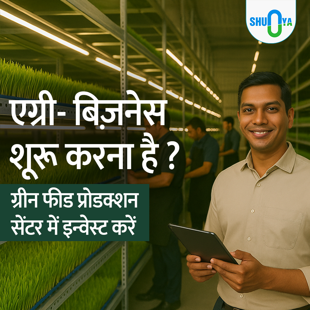 Start Your Agri Business – Invest in a Green Fodder Production Center with Shunya