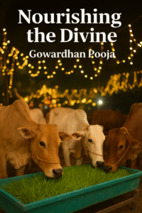 Cows are considered holy and worshipped on Gowardhan Pooja. Through optimal nutritional this devotion can be shown everyday.