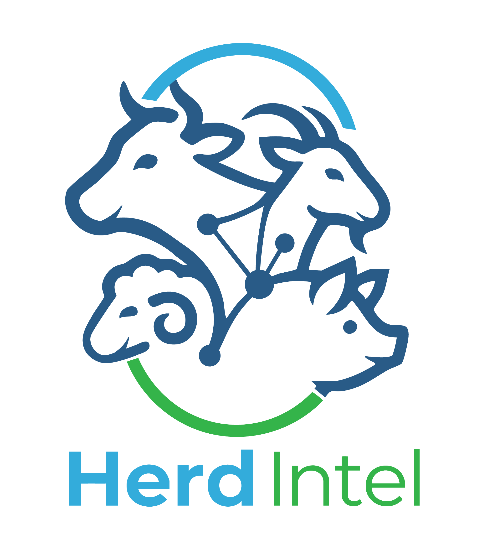 Herd Intel