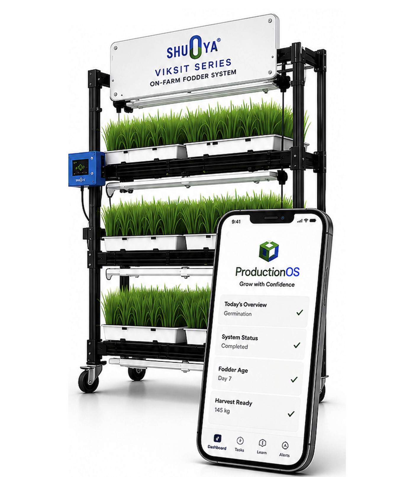 Stop Buying Fodder. Start Producing Fodder